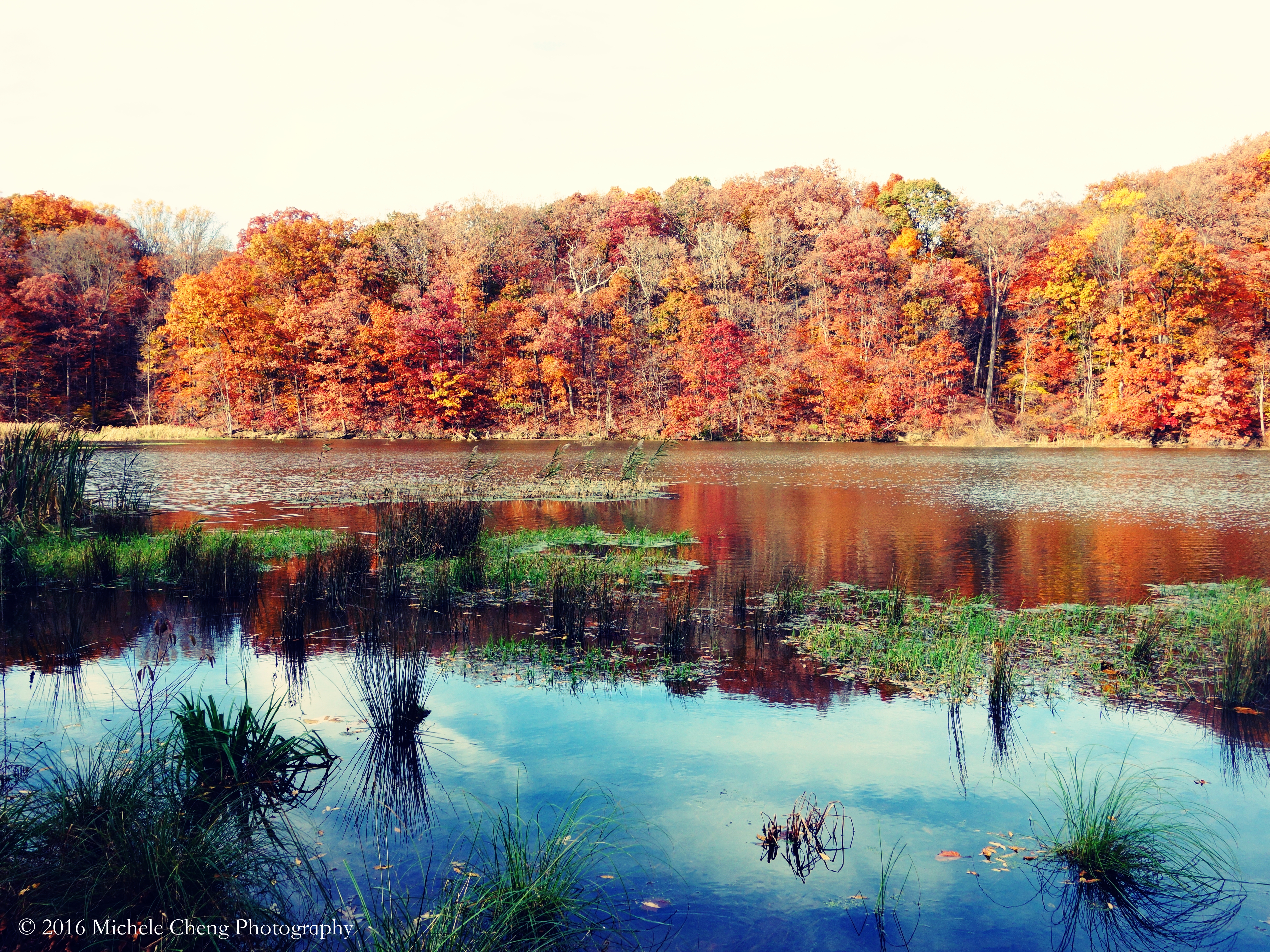 Scenery