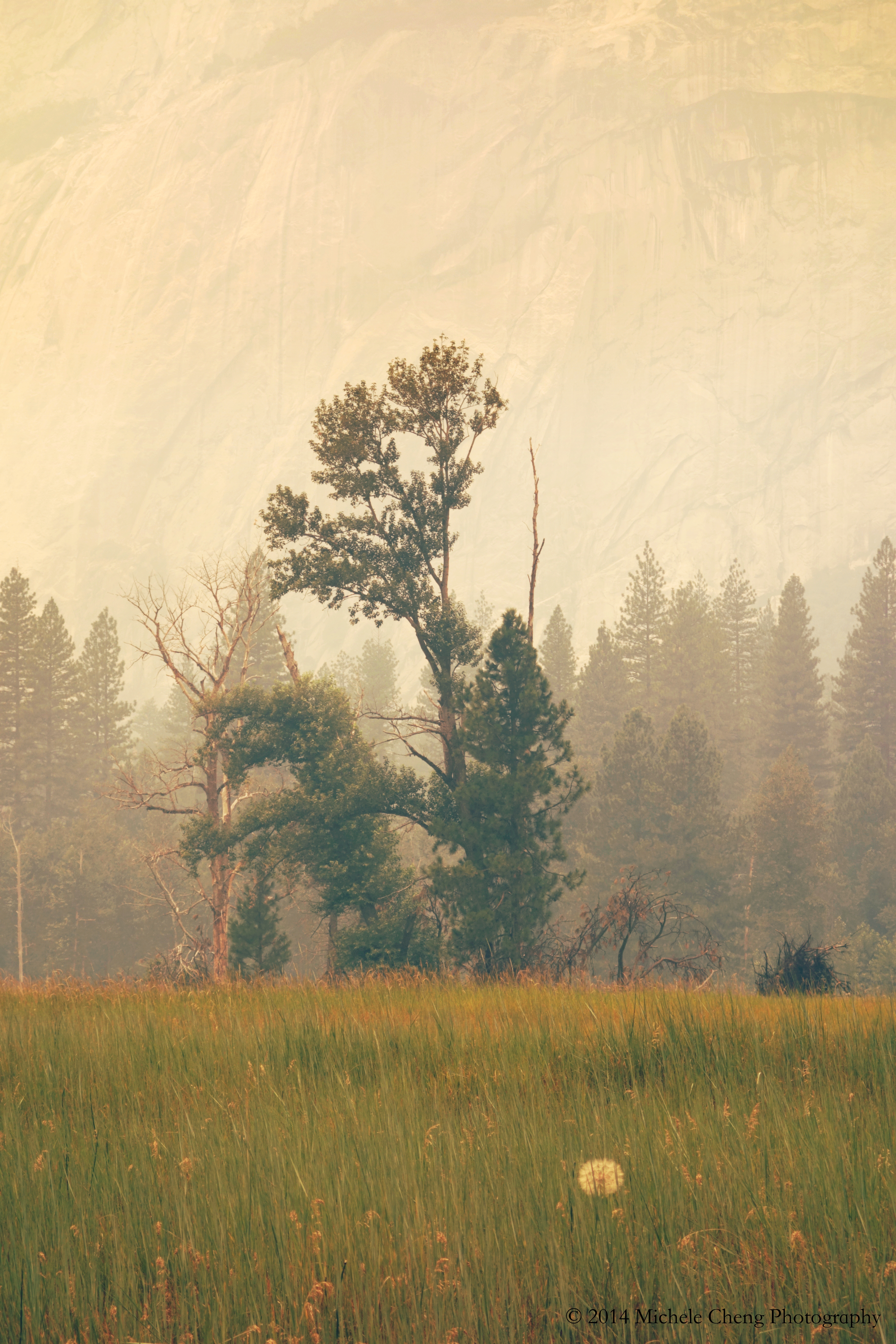 Scenery