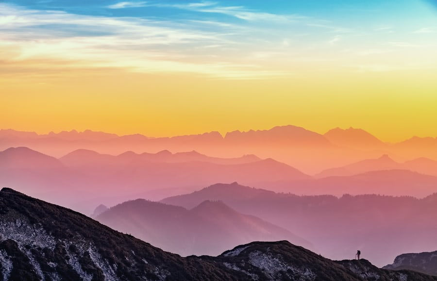 Photo Credits: Simon Berger, Unsplash