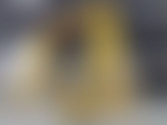 Harga Gantry Crane Terbaru 2025 Elephant Jepang dan Faktor yang Mempengaruhinya