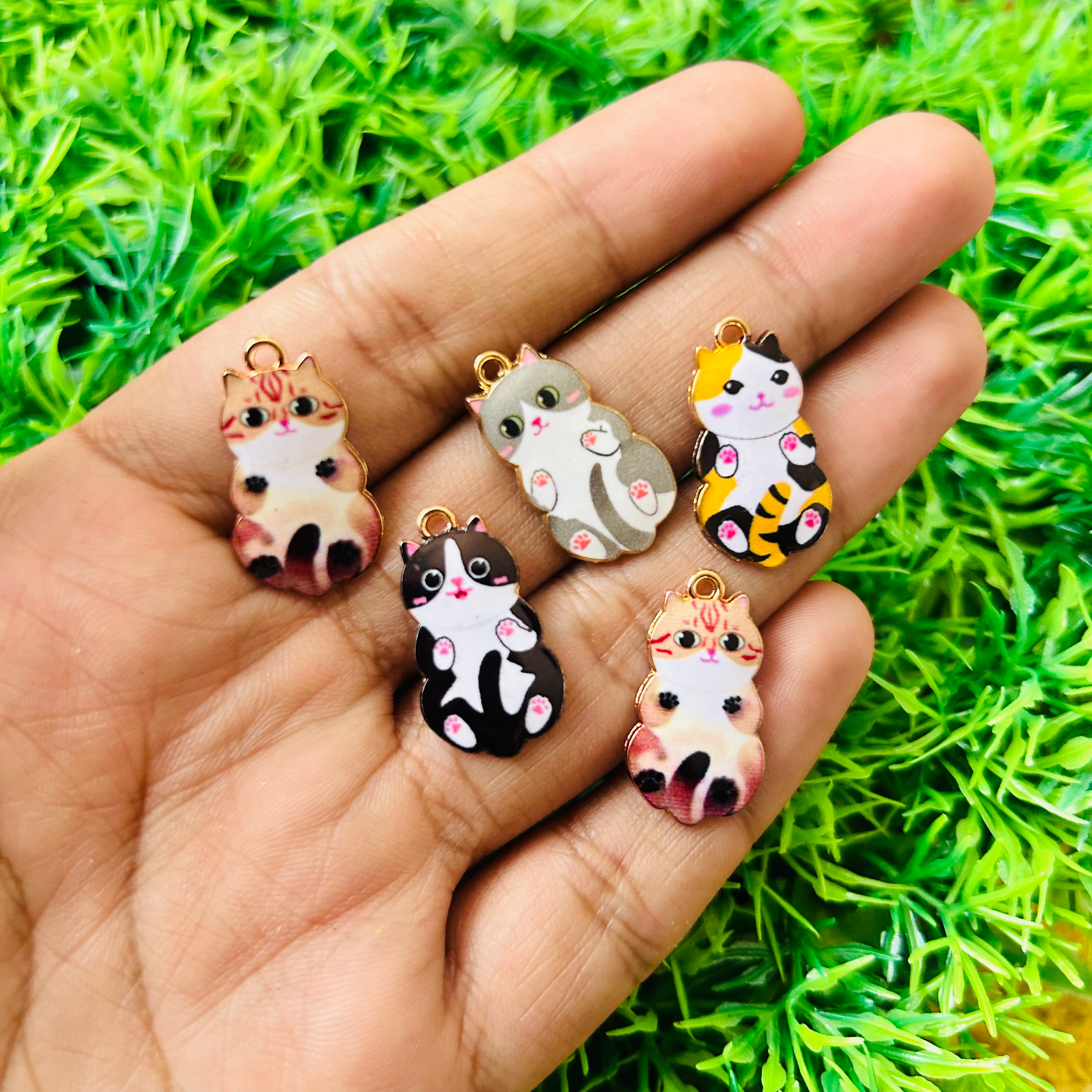 Set de gatos