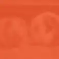guinea pigs in orange.webp