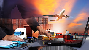 logisticaimex.com