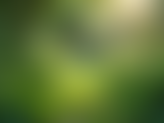 The Importance of Sustainable Living in Today's World