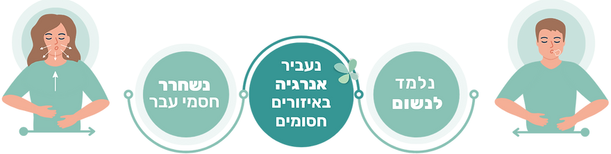 ואהבת - נשימת מעגל החיים (ריברסינג)