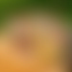 Biscoff and White Chocolate Mini Egg Cheesecake 🍰