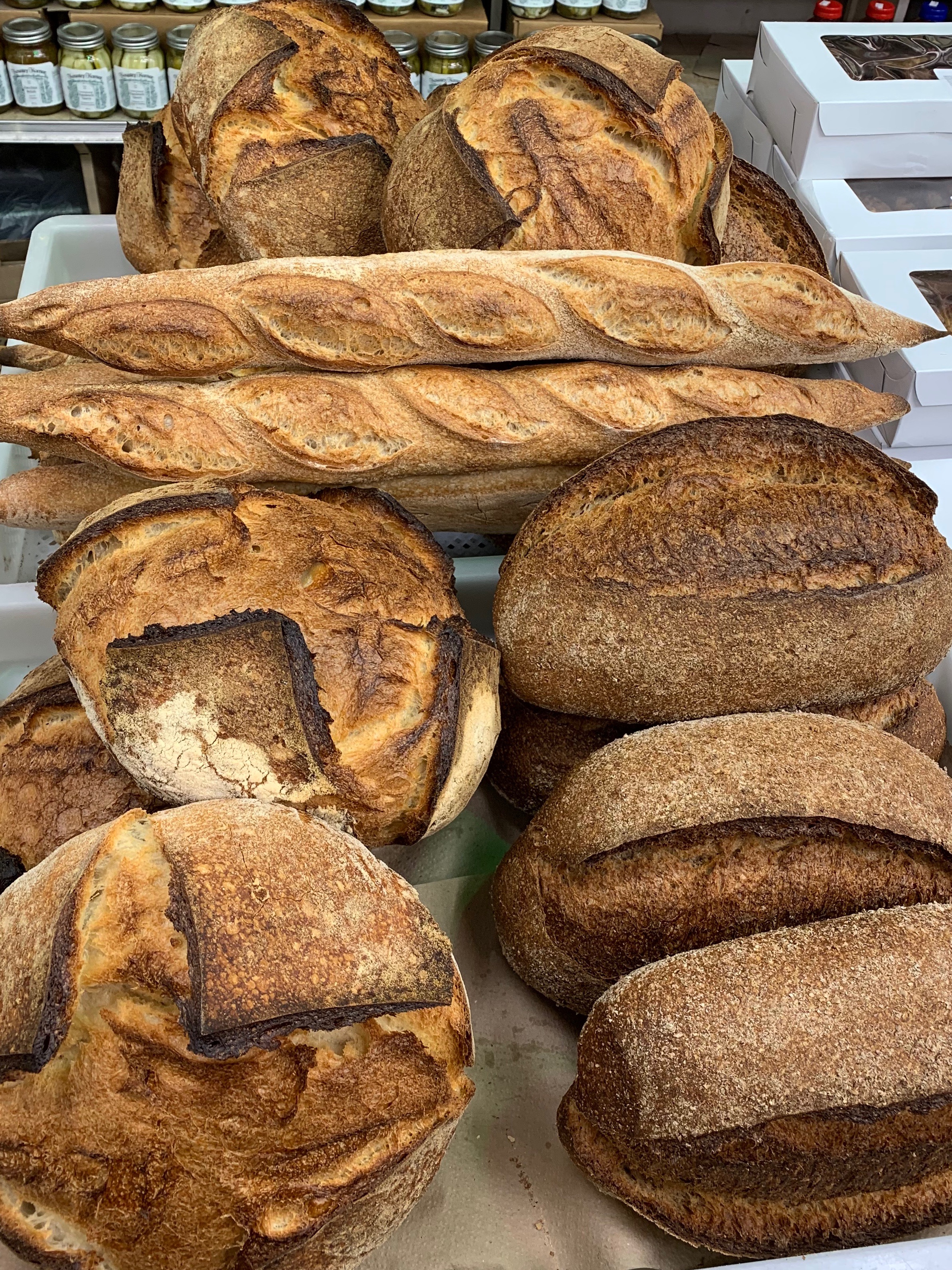 Fresh Bread