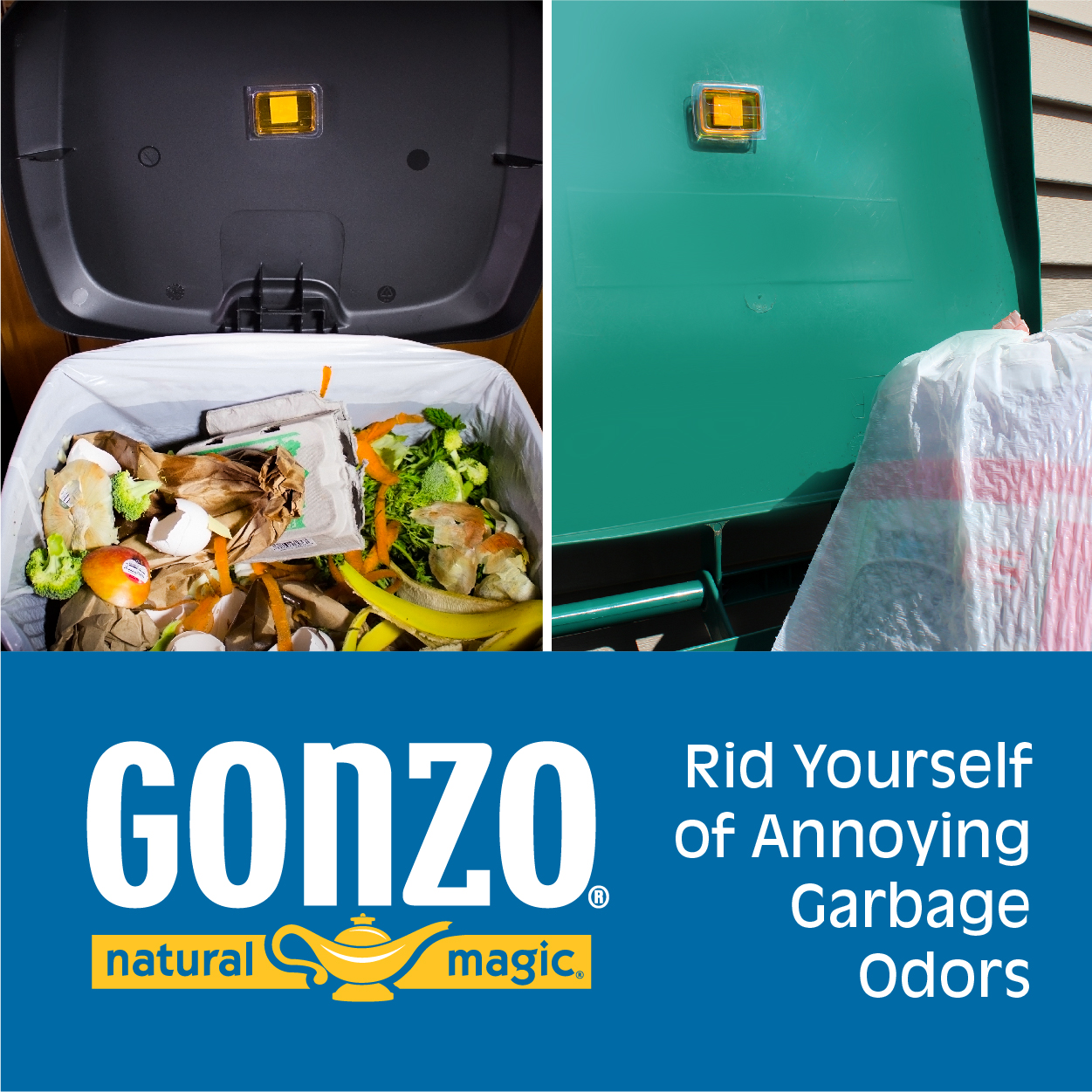 Gonzo Natural Magic Web Ad