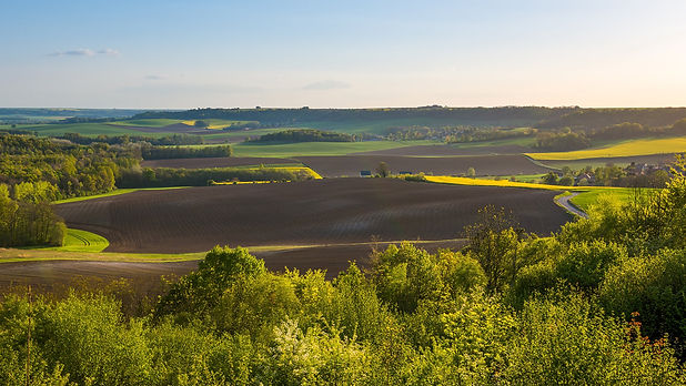 AdobeStock_80141702.jpeg