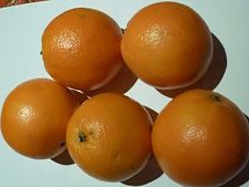 Oranges Noveline - Directissimo68
