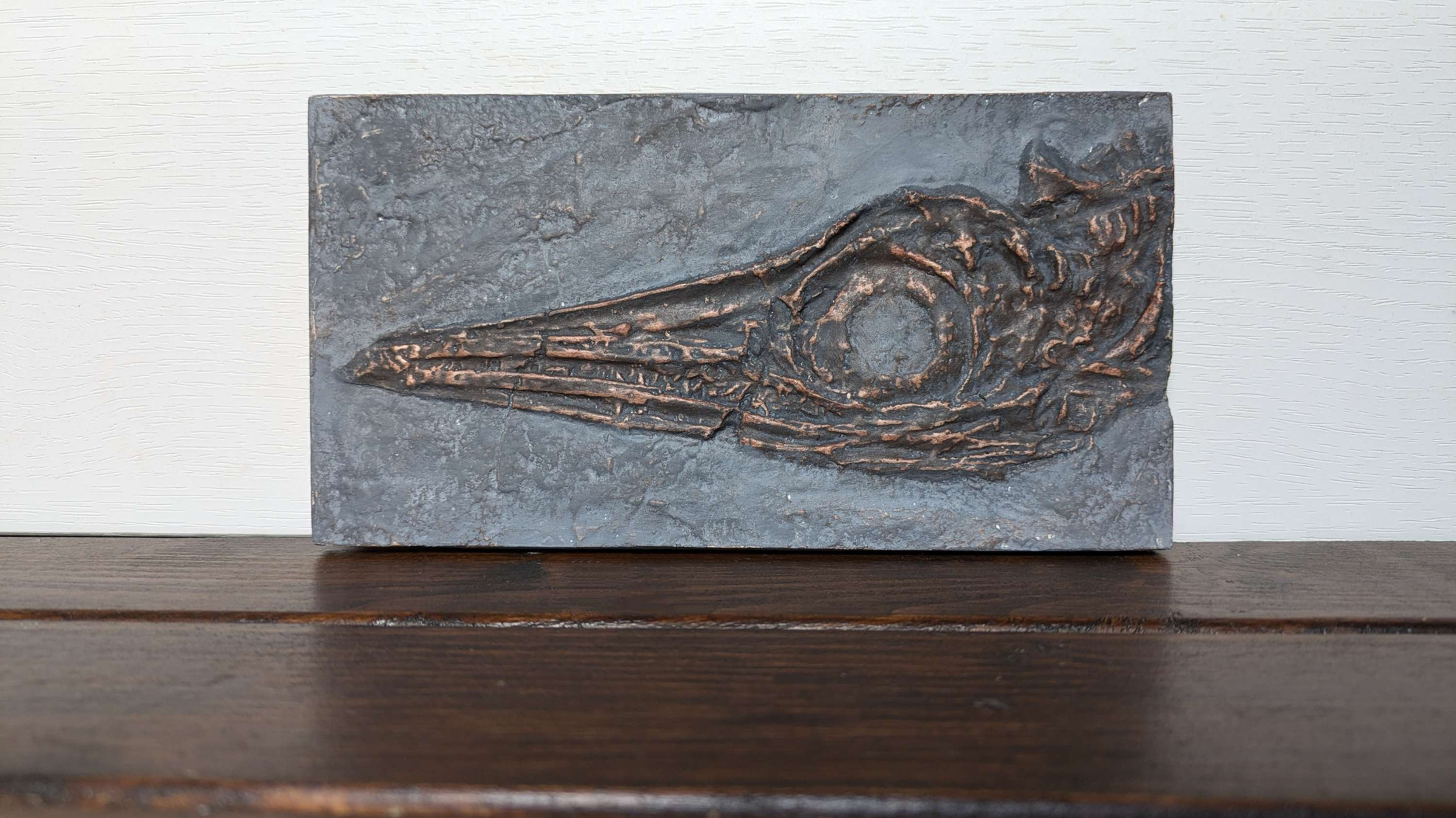 Ichthyosaur Skull Replica