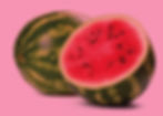 Watermelon Sorbet