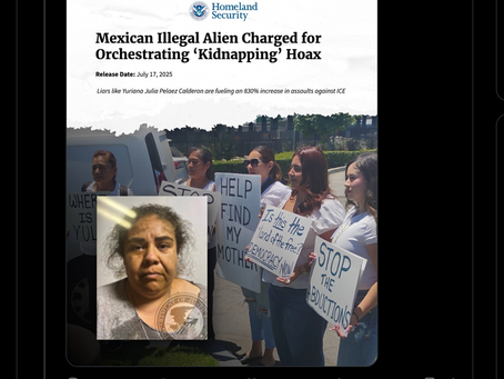 "ICE 납치됐다" 알고보니 전부 '사기극'... 돈 벌려고 꾸민 일?