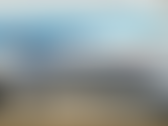 EU, 대한항공·아시아나 합병 조건부 승인,미국만 남았다