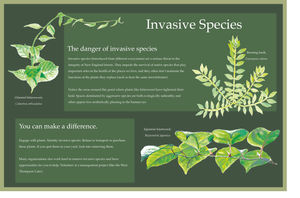 InvasiveSpecies.jpg