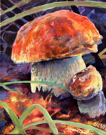 Bolete Mushroom