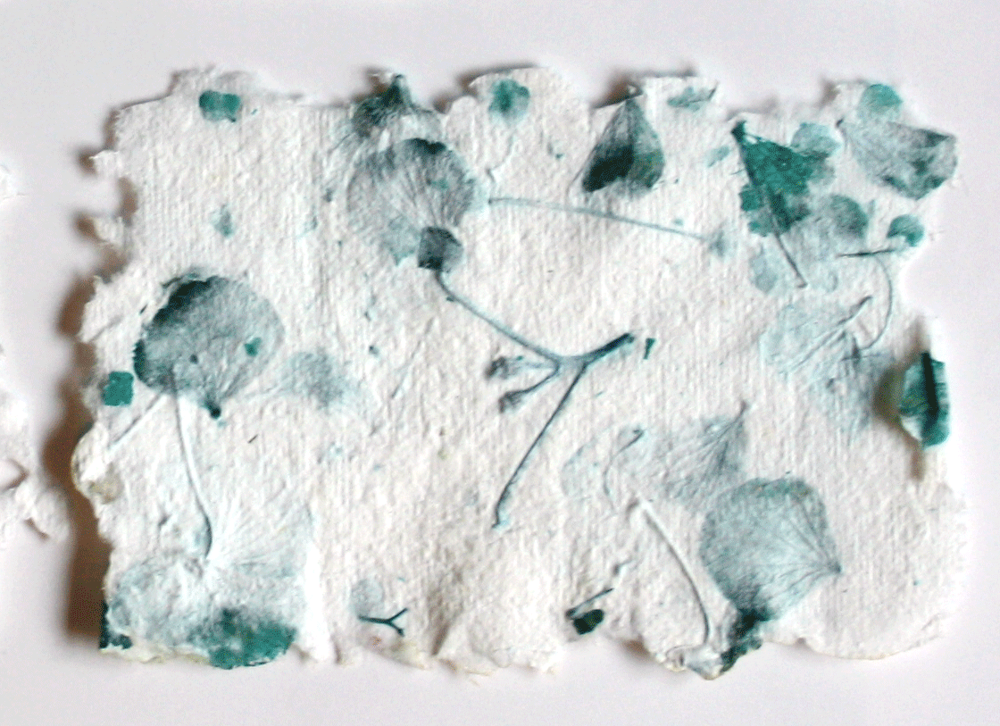 PAPER