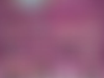 Monarca Fest Zitácuaro 2026: La feria más grande del oriente de Michoacán