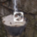 IMG_7181.JPG