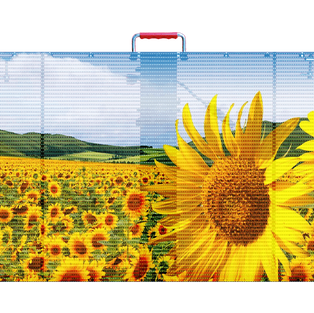 transparent01.png