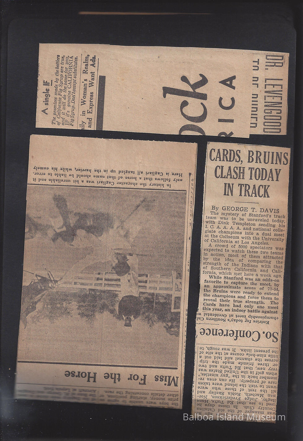 Collins Family - W. S. Collins 21