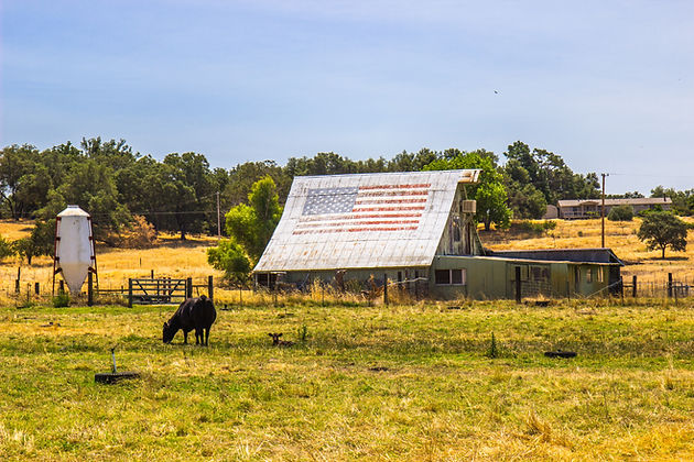 SAFCC - Barn 2.jpeg