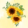 gira.png