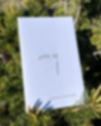 “piñon sap a soft erotic zine by alexa” held by a small green pine tree with the sun shining bright.