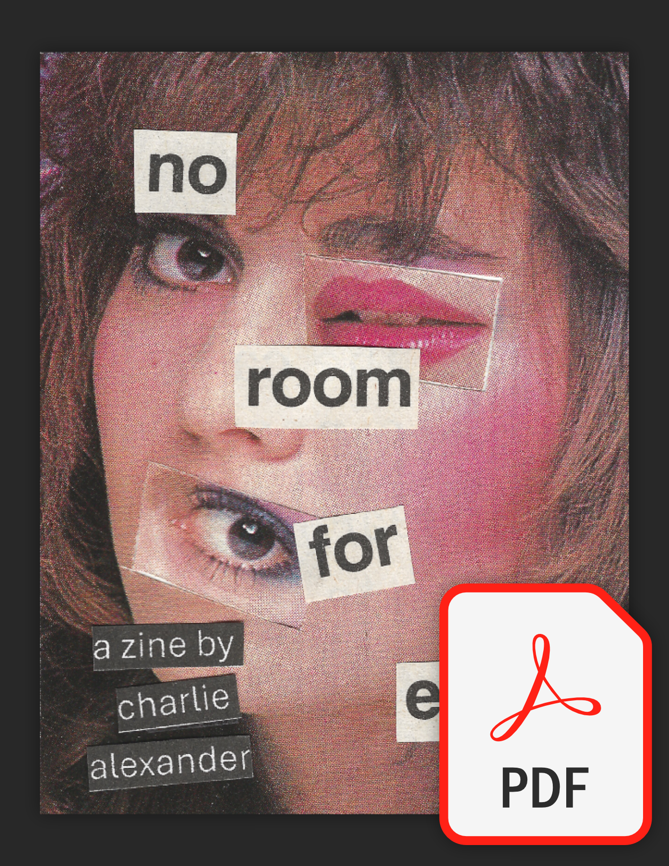 The front cover of the zine with a PDF icon superimposed, all against a dark background.