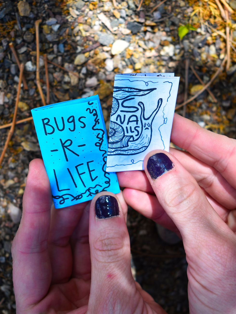 Thumbnail: The TNET Pico Zine Pack (Physical Zine Set)