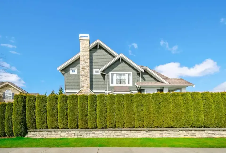 Reasons to buy landscaping with Trees and Plants.