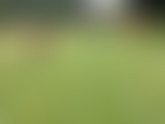 What a great day for an EYFS sports day!