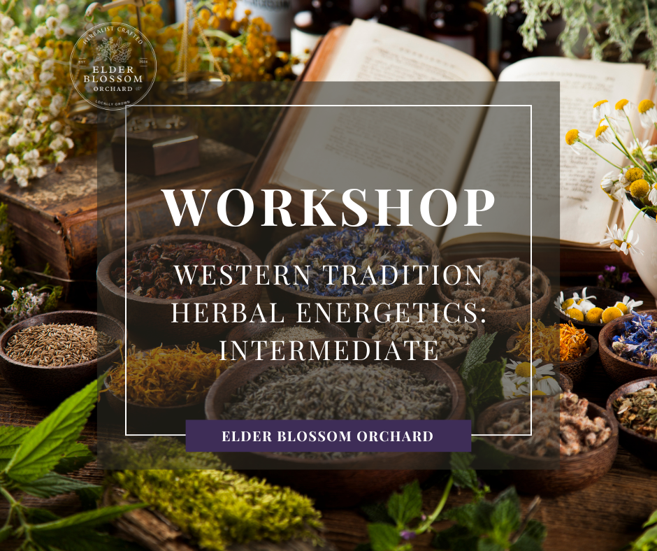 Western Traditional Herbal Energetics: Intermediate (online 3 hours)