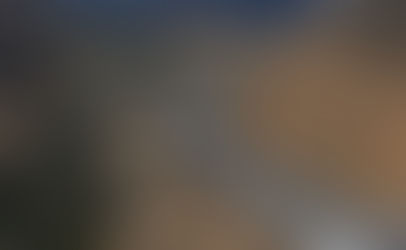 Wildlife Corridors Attempt to Knit Habitats Back Together