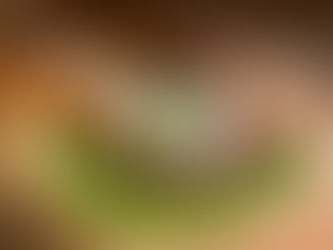 Beginner's Guide to Yerba Mate