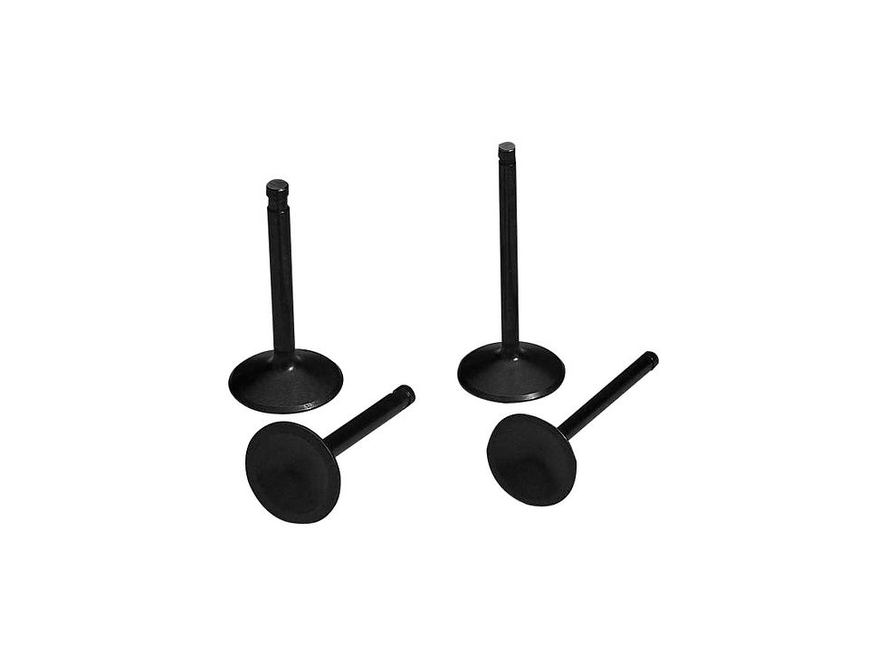 Black Diamond INTAKE VALVE 1340 ccm (80 cui) 1450 ccm (88 cui)