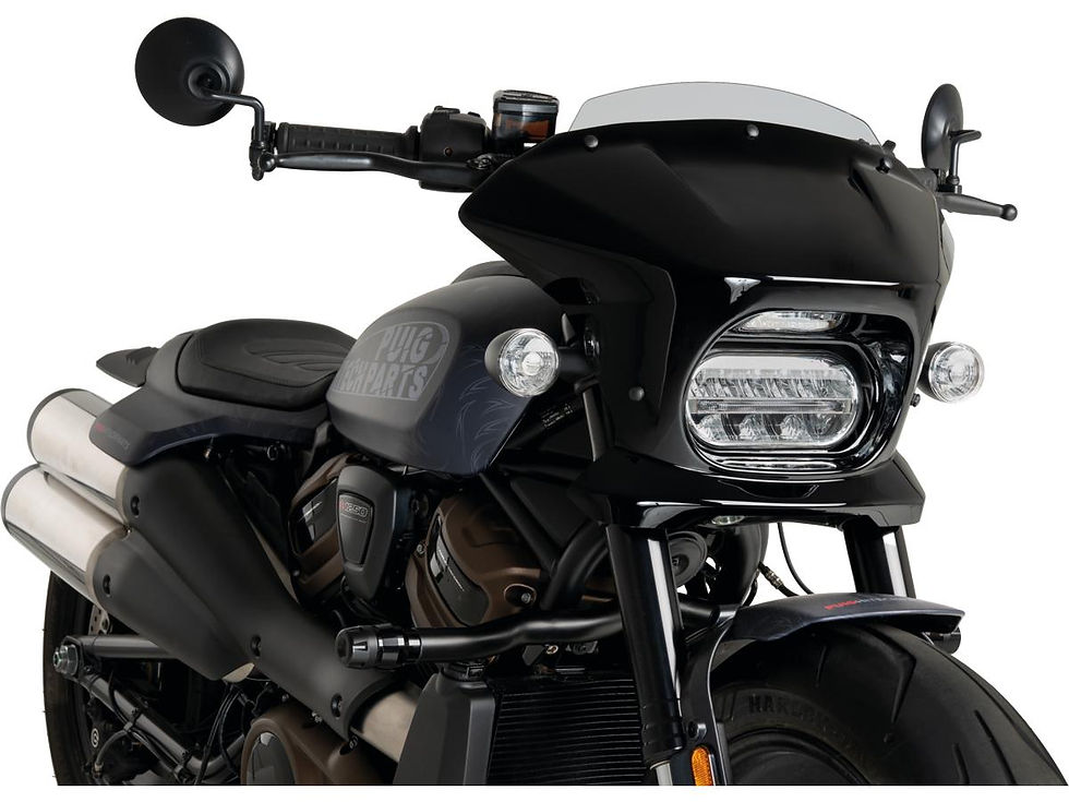 Fury Semifairing Screen Sport; Height 65 mm x Width 350 mm