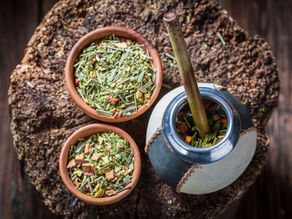 Exploring Yerba Mate