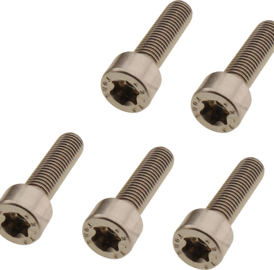 Fork Clamp Screw Kit Stainless Steel