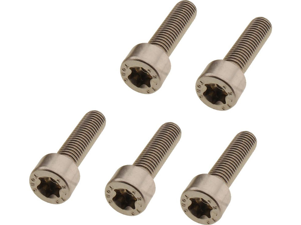 Fork Clamp Screw Kit Stainless Steel
