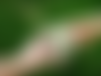 Yerba Mate – A Ritual of Togetherness