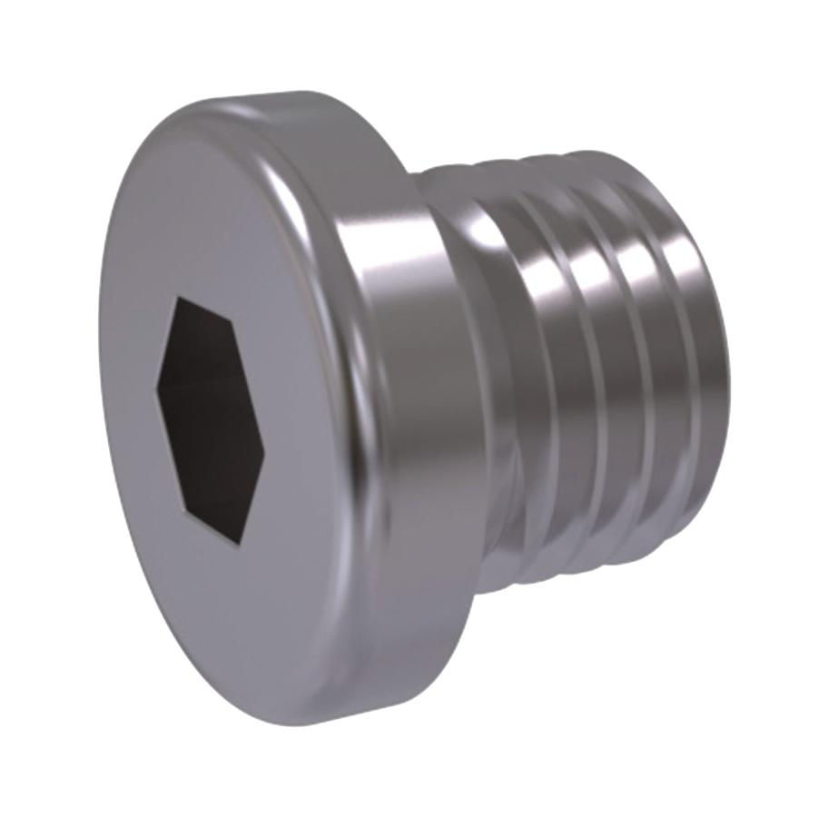 Sockethead Screw Plugs Chrome