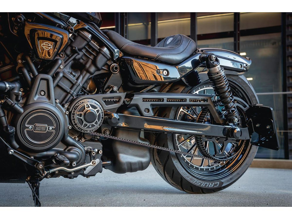 Swing Arm Axle Cover Black Powder Coated