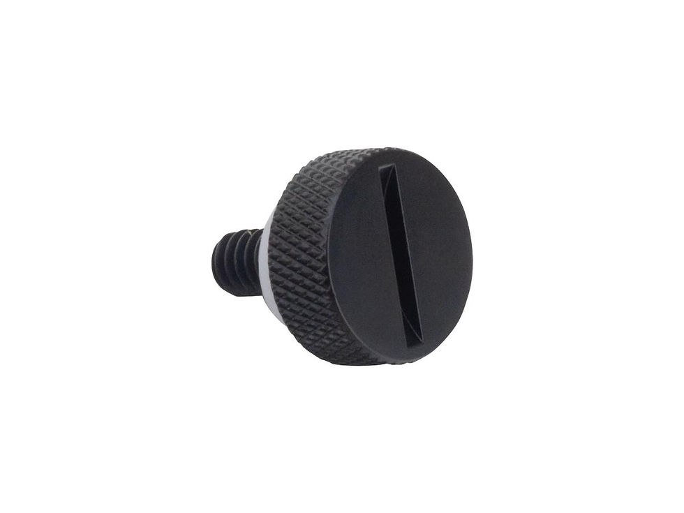 Easy Seat Mounting Screw With Washer Slotted 1/4-20 Thread Black