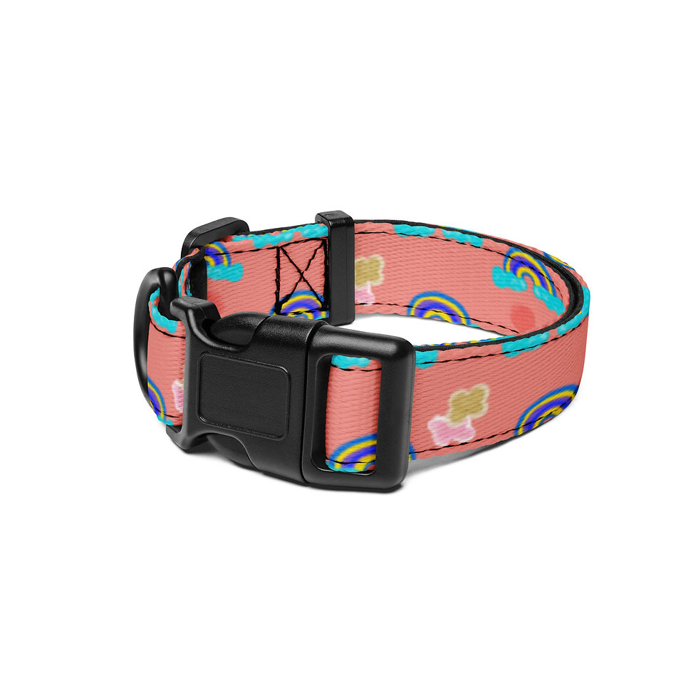 pet-collar-white-s-front-6a6b6aeb1d685.jpg