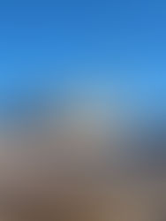 Reviving a December tradition with the Good Lutheran Colleges