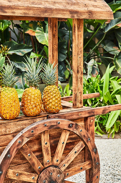 Pineapple stand