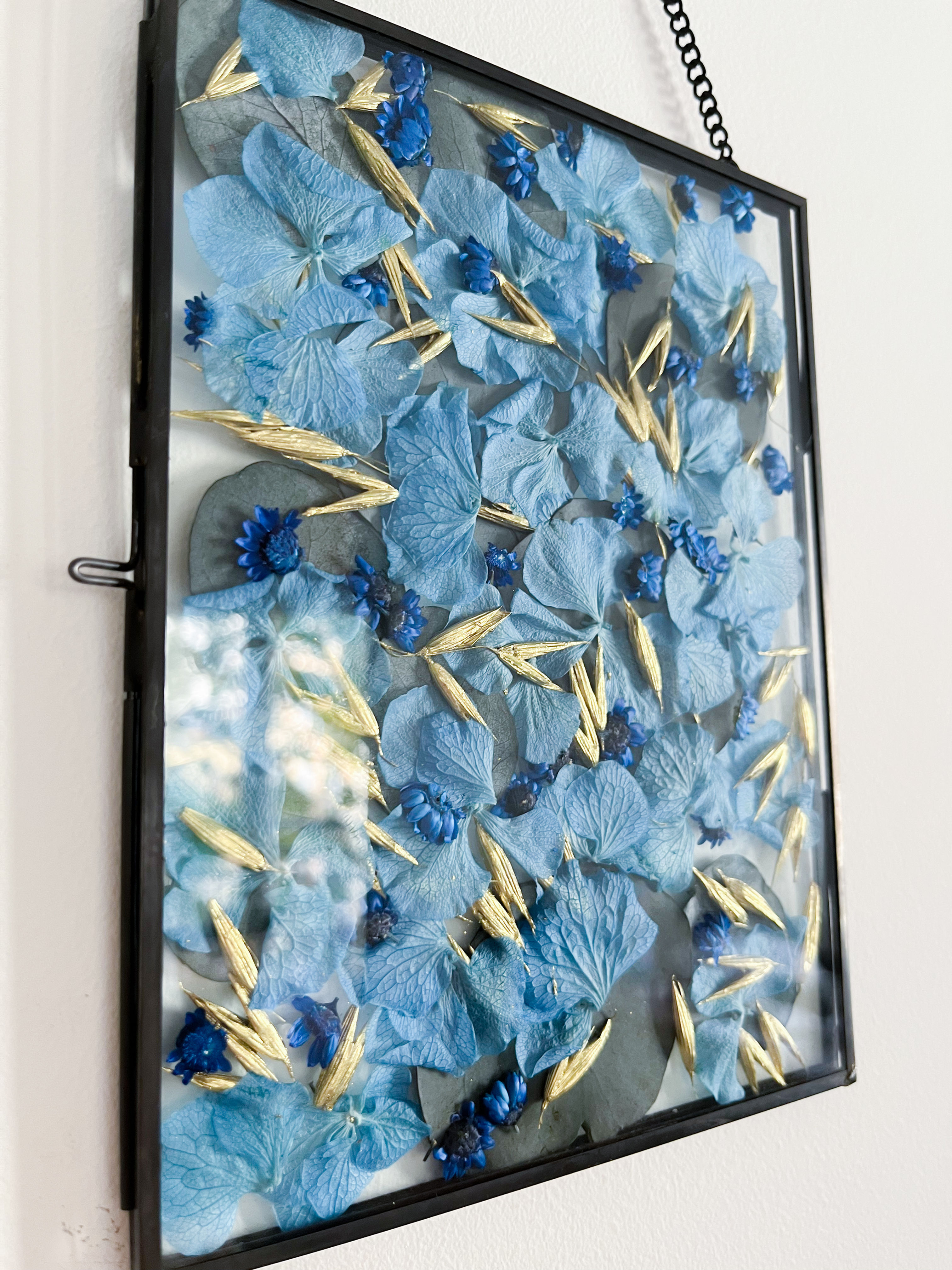 Azurin : Cadre herbier