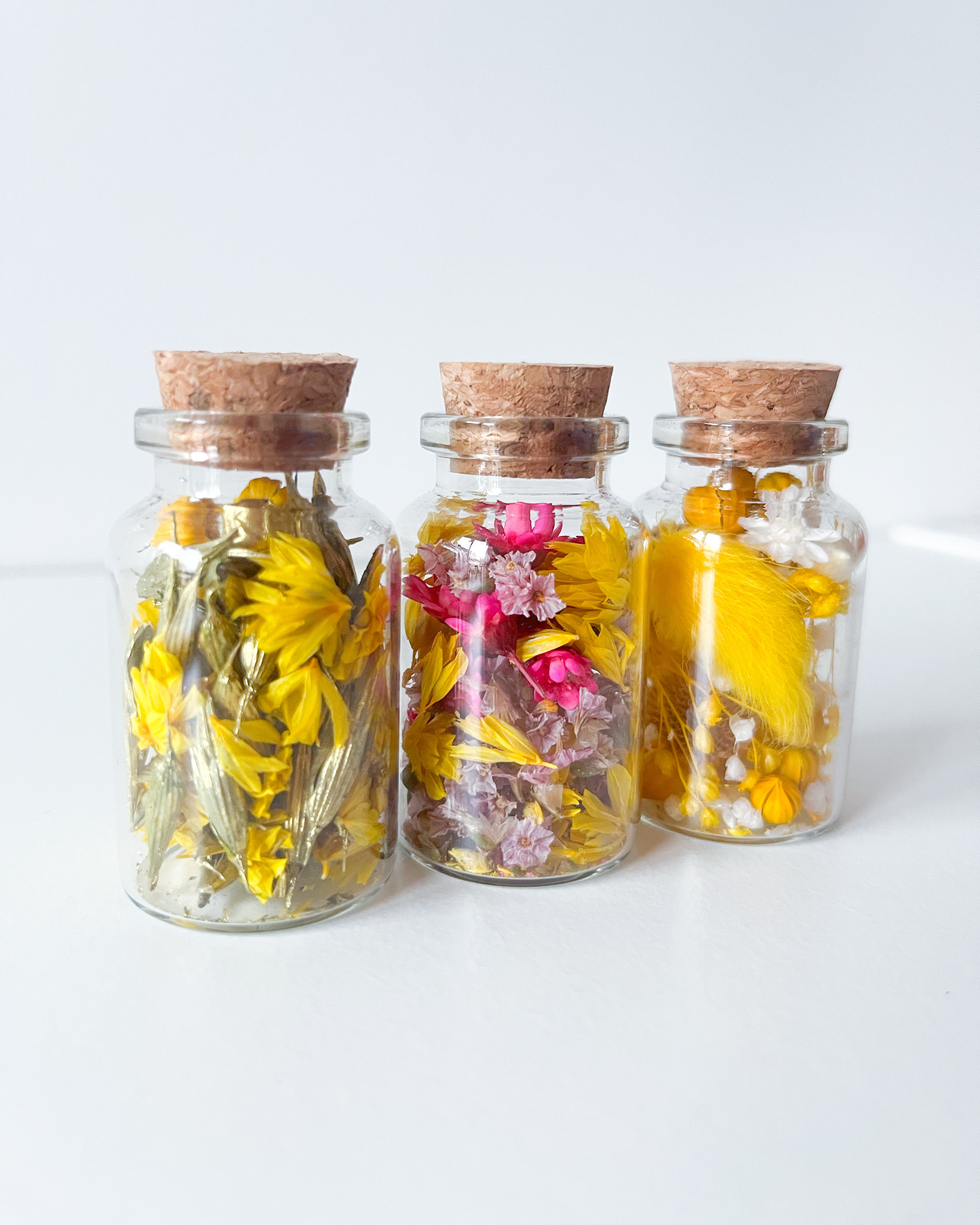 ✨ Édition Limitée : Lot de 3 minis Fioles en Fleurs Séchées ✨