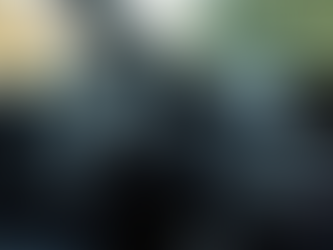 Transform Your Vehicle with Mobile Car Detailing Services in Burlington Ontario